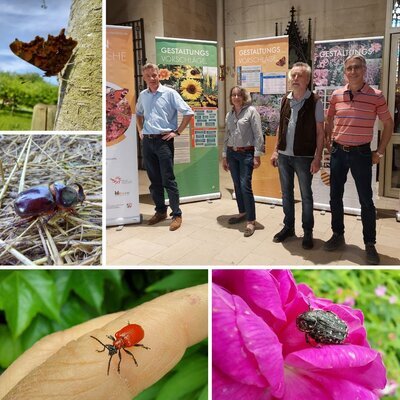 Vorlagen Insta-Insektenausstellung