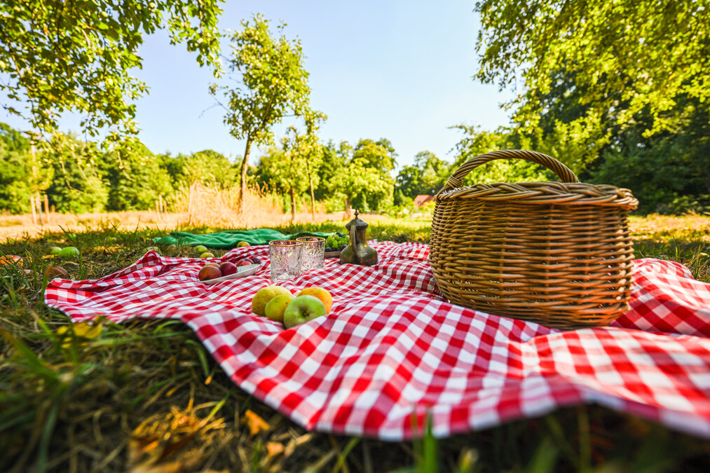 Frühlingswanderung mit Picknick