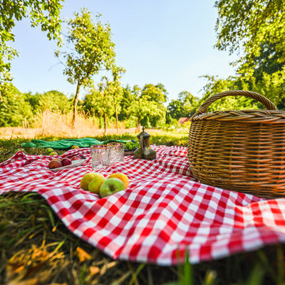 Frühlingswanderung mit Picknick