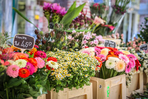 121117967_1053950925064363_1551083227037416552_o - Stadt Billerbeck 121117967_1053950925064363_1551083227037416552_o